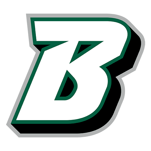 Binghamton logo